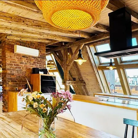 The Barn - Spacious Loft In The Center * Katowice