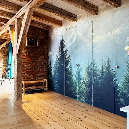 Lejlighed The Barn - Spacious Loft In The Center With Terrace And Ac Katowice