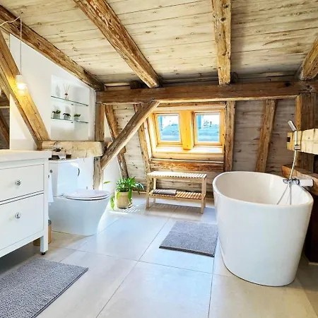 Lejlighed The Barn - Spacious Loft In The Center With Terrace And Ac Katowice