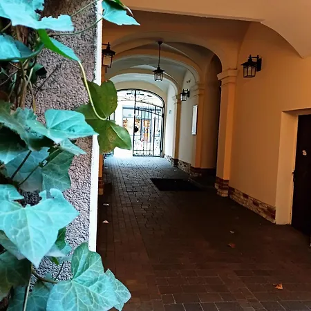 The Barn - Spacious Loft In The Center *