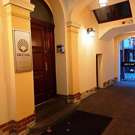 Lejlighed The Barn - Spacious Loft In The Center With Terrace And Ac Katowice