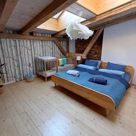 The Barn - Spacious Loft In The Center With Terrace And Ac * Katowice