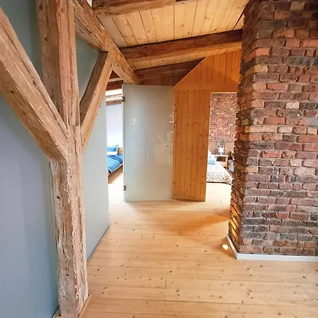 Lejlighed The Barn - Spacious Loft In The Center With Terrace And Ac Katowice