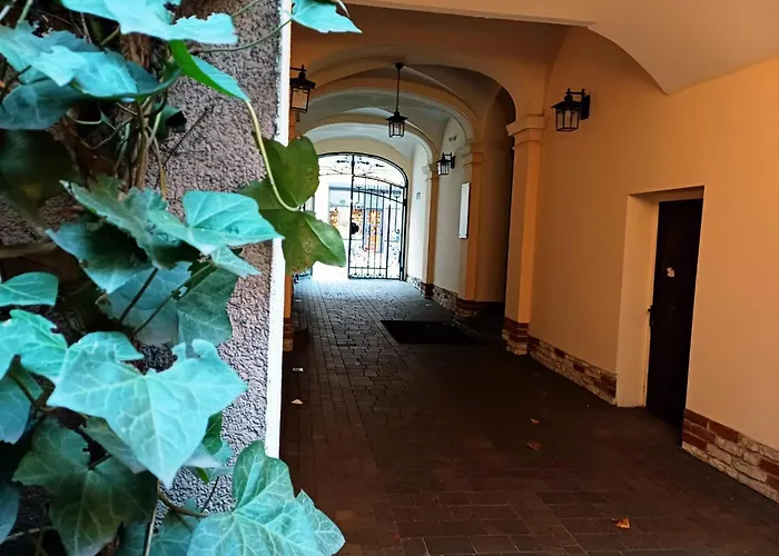 The Barn - Spacious Loft In The Center *