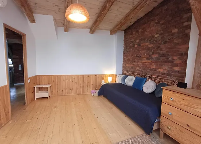 The Barn - Spacious Loft In The Center * Katowice
